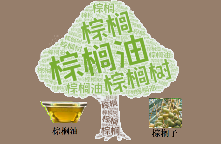 棕榈油市场承压调整，短期方向面临选择(图1)